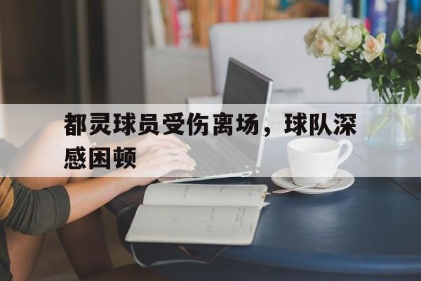 关于都灵球员受伤离场，球队深感困顿的信息